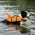 Gut sichtbarer Hundebadeanzug, Pool und Meer, Rettungsmantel L Gut sichtbarer Hundebadeanzug, Pool und Meer, Rettungsmantel L