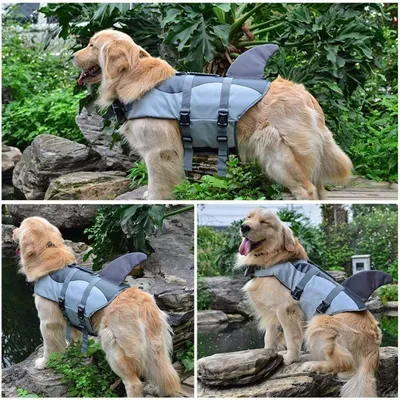 HausPets Chaleco salvavidas ajustable para perros con asa, gris, talla S HausPets Chaleco salvavidas ajustable para perros con asa, gris, talla S