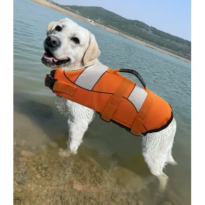 HausPets Chaleco salvavidas ajustable perros asa suave, color naranja