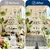 HausPets Tapis Anti-Chat Picots Plastique Protection Jardin 4x0,3m HausPets Tapis Anti-Chat Picots Plastique Protection Jardin 4x0,3m