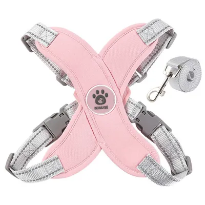 HausPets Harnais Anti-Traction en X avec Laisse pour Petit Chien HausPets Harnais Anti-Traction en X avec Laisse pour Petit Chien
