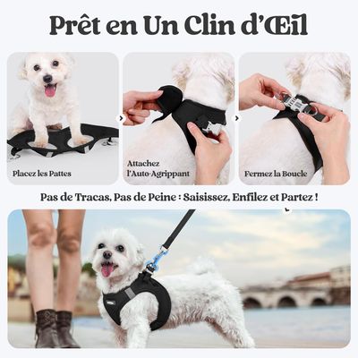 HausPets Harnais Chien avec Laisse Réfléchissante et Maille Souple