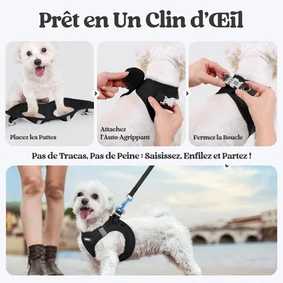 HausPets Harnais Chien avec Laisse Réfléchissante et Maille Souple HausPets Harnais Chien avec Laisse Réfléchissante et Maille Souple