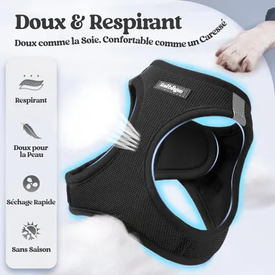 HausPets Harnais Chien avec Laisse Réfléchissante et Maille Souple HausPets Harnais Chien avec Laisse Réfléchissante et Maille Souple
