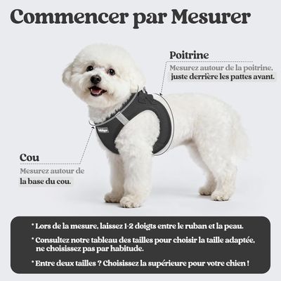 HausPets Harnais Chien avec Laisse Réfléchissante et Maille Souple