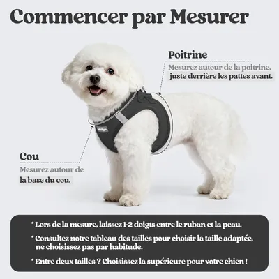 HausPets Harnais Chien avec Laisse Réfléchissante et Maille Souple HausPets Harnais Chien avec Laisse Réfléchissante et Maille Souple