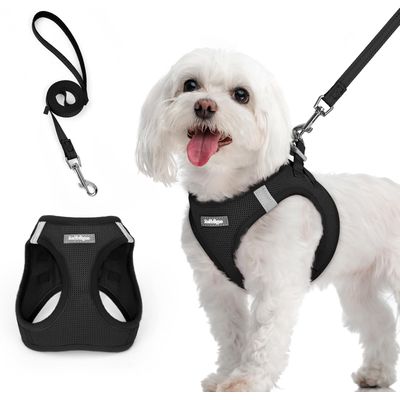 HausPets Harnais Chien avec Laisse Réfléchissante et Maille Souple