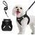 HausPets Harnais Chien avec Laisse Réfléchissante et Maille Souple HausPets Harnais Chien avec Laisse Réfléchissante et Maille Souple