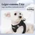 HausPets Harnais Chien avec Laisse Réfléchissante et Maille Souple HausPets Harnais Chien avec Laisse Réfléchissante et Maille Souple