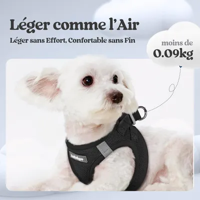 HausPets Harnais Chien avec Laisse Réfléchissante et Maille Souple HausPets Harnais Chien avec Laisse Réfléchissante et Maille Souple