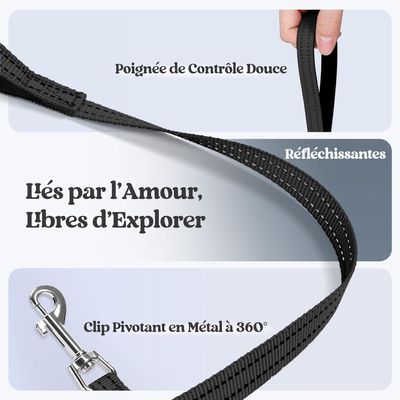 HausPets Harnais Chien avec Laisse Réfléchissante et Maille Souple