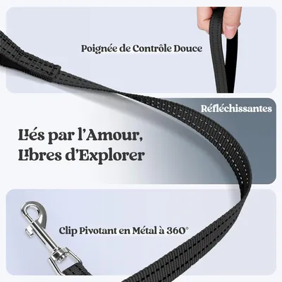 HausPets Harnais Chien avec Laisse Réfléchissante et Maille Souple HausPets Harnais Chien avec Laisse Réfléchissante et Maille Souple