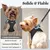 HausPets Harnais Chien avec Laisse Réfléchissante et Maille Souple HausPets Harnais Chien avec Laisse Réfléchissante et Maille Souple