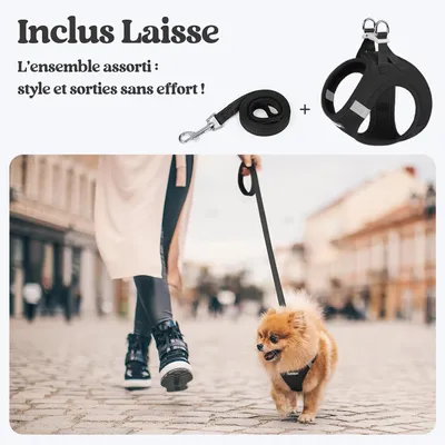 HausPets Harnais Chien avec Laisse Réfléchissante et Maille Souple HausPets Harnais Chien avec Laisse Réfléchissante et Maille Souple