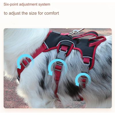 Harnais chien maille respirante, sans traction, rembourré, M