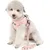 HausPets Harnais Anti-Traction Réglable et Réfléchissant pour Petit Chien HausPets Harnais Anti-Traction Réglable et Réfléchissant pour Petit Chien