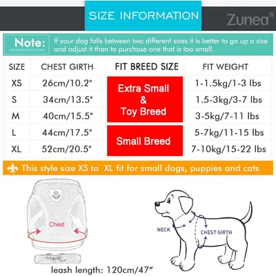 HausPets Harnais Anti-Traction Réglable et Réfléchissant pour Petit Chien HausPets Harnais Anti-Traction Réglable et Réfléchissant pour Petit Chien