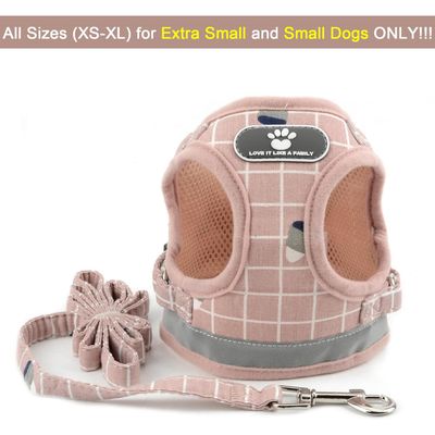 HausPets Harnais Anti-Traction Réglable et Réfléchissant pour Petit Chien