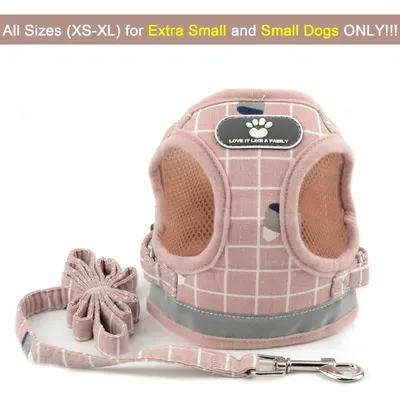 HausPets Harnais Anti-Traction Réglable et Réfléchissant pour Petit Chien HausPets Harnais Anti-Traction Réglable et Réfléchissant pour Petit Chien