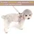 HausPets Harnais Anti-Traction Réglable et Réfléchissant pour Petit Chien HausPets Harnais Anti-Traction Réglable et Réfléchissant pour Petit Chien