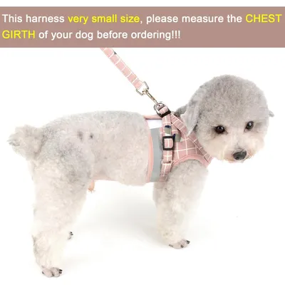 HausPets Harnais Anti-Traction Réglable et Réfléchissant pour Petit Chien HausPets Harnais Anti-Traction Réglable et Réfléchissant pour Petit Chien