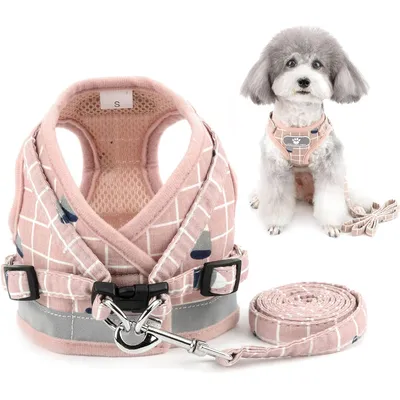 HausPets Harnais Anti-Traction Réglable et Réfléchissant pour Petit Chien HausPets Harnais Anti-Traction Réglable et Réfléchissant pour Petit Chien
