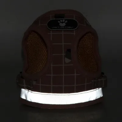 HausPets Harnais Anti-Traction Réglable et Réfléchissant pour Petit Chien HausPets Harnais Anti-Traction Réglable et Réfléchissant pour Petit Chien
