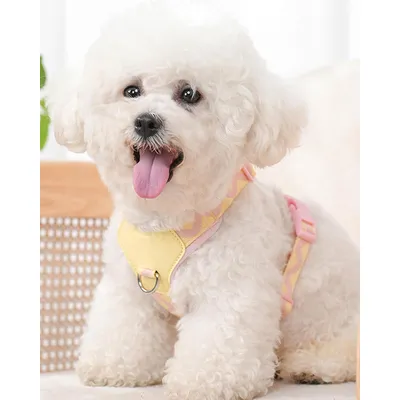 Rosa Hundegeschirr für kleine Hunde, XS, Anti-Zug-Geschirr, 2 Leinenclips