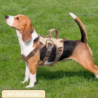 Harnais anti-traction chien réfléchissant, beige + anneau poitrine, L Harnais anti-traction chien réfléchissant, beige + anneau poitrine, L