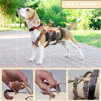 Harnais anti-traction chien réfléchissant, beige + anneau poitrine, L