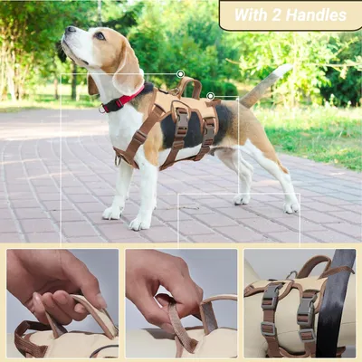 Harnais anti-traction chien réfléchissant, beige + anneau poitrine, L Harnais anti-traction chien réfléchissant, beige + anneau poitrine, L
