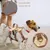 Harnais anti-traction chien réfléchissant, beige + anneau poitrine, L Harnais anti-traction chien réfléchissant, beige + anneau poitrine, L