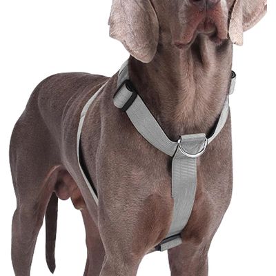 Verstellbares, gepolstertes Anti-Zug-Hundegeschirr, Mittel/Groß, Grau M