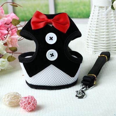 HausPets Harnais Gilet de Soirée avec Nœud Papillon et Laisse pour Chien
