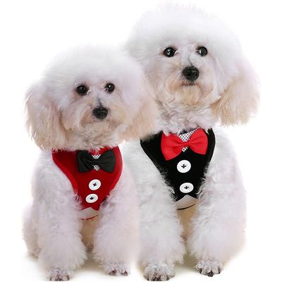 HausPets Harnais Gilet de Soirée avec Nœud Papillon et Laisse pour Chien