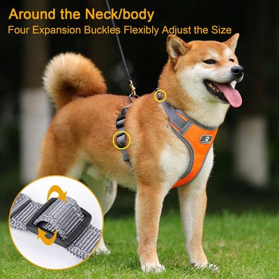 Harnais chien anti-traction, réglable, réfléchissant, mesh doux
