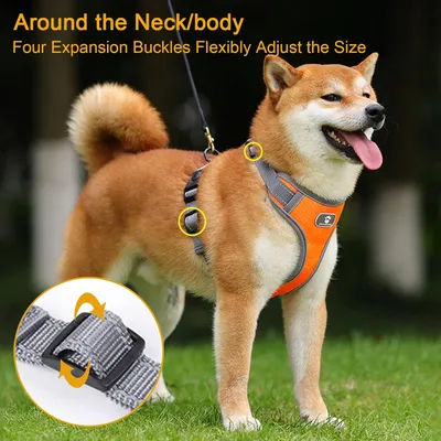 Harnais chien anti-traction, réglable, réfléchissant, mesh doux