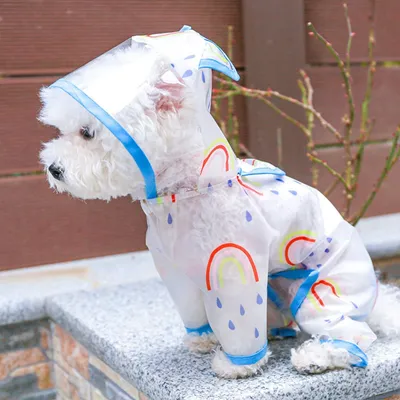 HausPets Impermeable arcoíris para gatos y perros, talla M