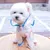 HausPets Impermeable arcoíris para gatos y perros, talla M HausPets Impermeable arcoíris para gatos y perros, talla M