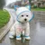 HausPets Impermeable arcoíris para gatos y perros, talla M HausPets Impermeable arcoíris para gatos y perros, talla M