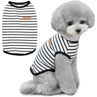 HausPets Gestreiftes Hunde T-Shirt - Baumwolle, Klein, Schwarz M HausPets Gestreiftes Hunde T-Shirt - Baumwolle, Klein, Schwarz M