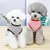 HausPets Gestreiftes Hunde T-Shirt - Baumwolle, Klein, Schwarz M HausPets Gestreiftes Hunde T-Shirt - Baumwolle, Klein, Schwarz M