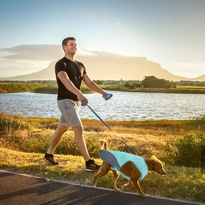 HausPets Hunde Kühleweste - UV-Schutz, Mesh, Mittel Groß HausPets Hunde Kühleweste - UV-Schutz, Mesh, Mittel Groß