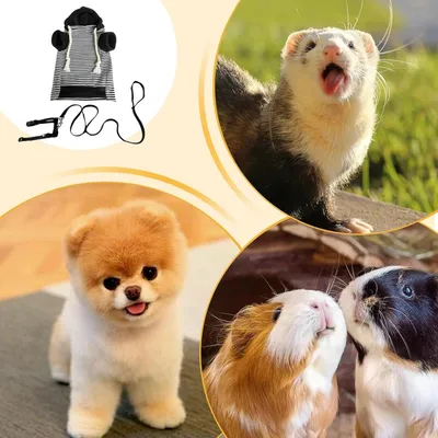 HausPets Pullover Frettchen Katze Hund weich Geschirr HausPets Pullover Frettchen Katze Hund weich Geschirr