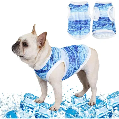 HausPets Hunde Kühleweste - Blau, Mikrofaser, Größe s HausPets Hunde Kühleweste - Blau, Mikrofaser, Größe s