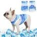 HausPets Hunde Kühleweste - Blau, Mikrofaser, Größe s