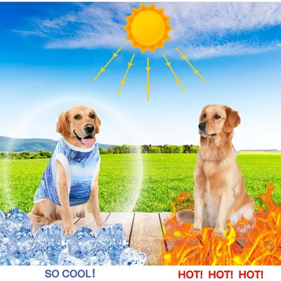 HausPets Hunde Kühleweste - Blau, Mikrofaser, Größe s HausPets Hunde Kühleweste - Blau, Mikrofaser, Größe s
