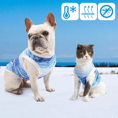 HausPets Hunde Kühleweste - Blau, Mikrofaser, Größe s HausPets Hunde Kühleweste - Blau, Mikrofaser, Größe s
