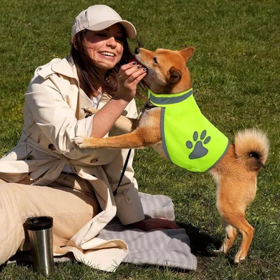HausPets Hunde Rettungsweste - Reflektierend, Mesh, Größe S HausPets Hunde Rettungsweste - Reflektierend, Mesh, Größe S