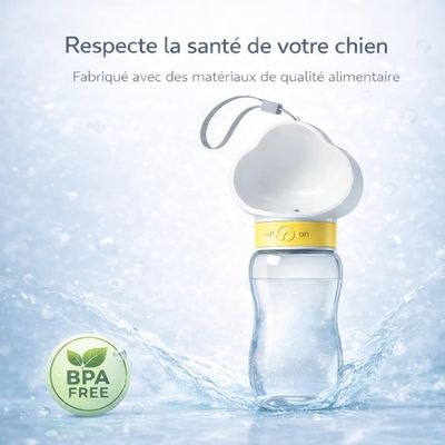 HausPets gourde chien 600 ml portable anti fuite promenade et voyage